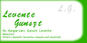 levente gunszt business card